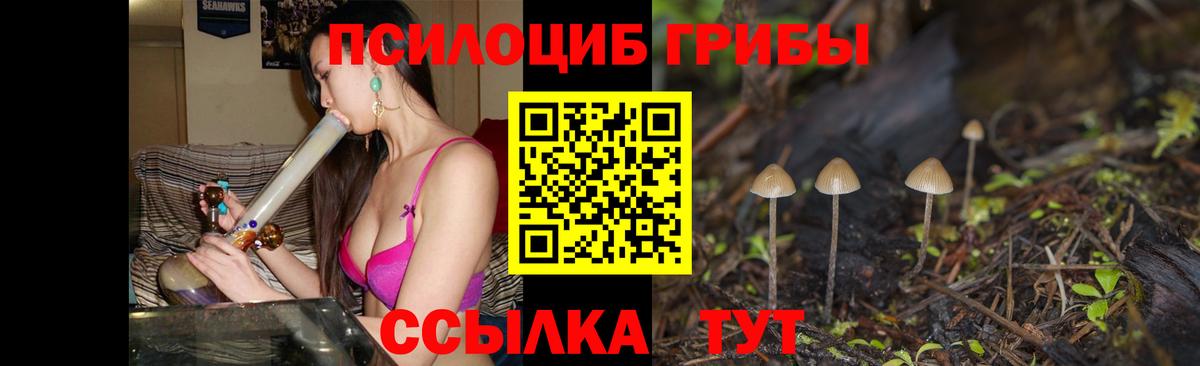Галлюциногенные грибы MAGIC MUSHROOMS  Вход с VPN  Псилоцибиновые грибы MAGIC MUSHROOMS  магазин  наркотиков  Янаул 